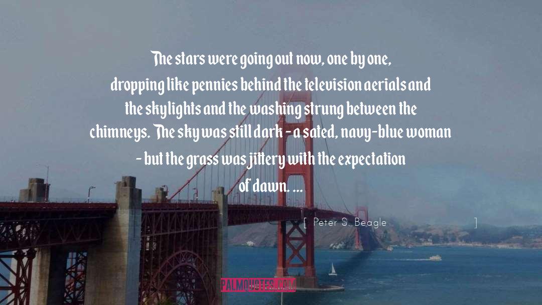 Expectation quotes by Peter S. Beagle