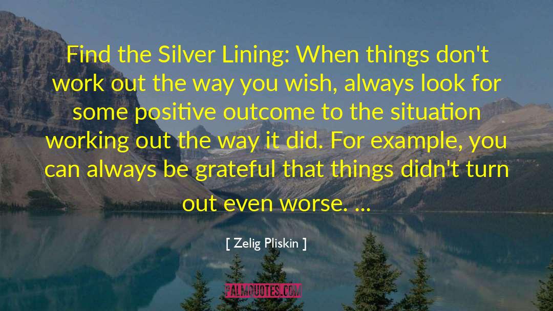 Expecting Positive Outcomes quotes by Zelig Pliskin