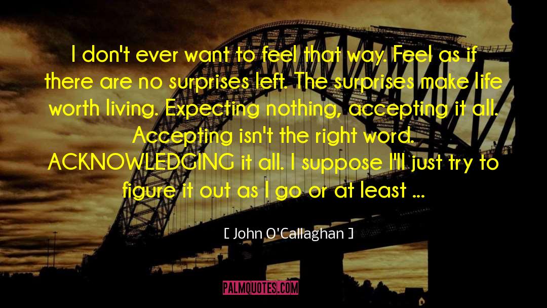 Expecting Positive Outcomes quotes by John O'Callaghan