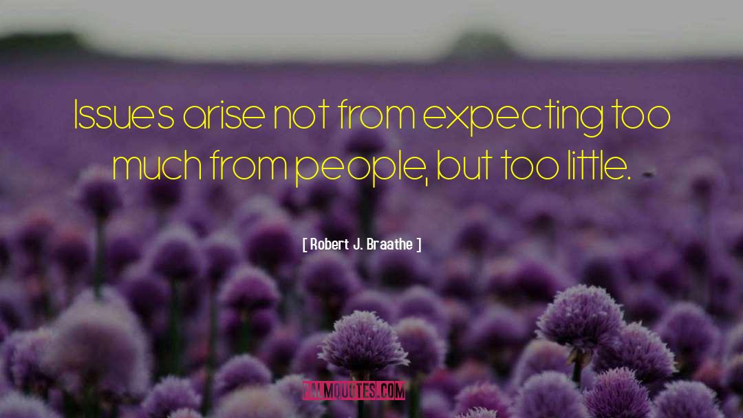 Expecting Too Much quotes by Robert J. Braathe