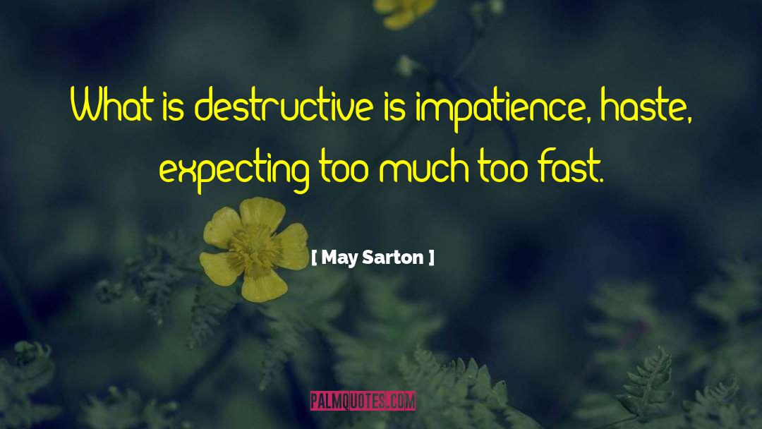 Expecting Too Much quotes by May Sarton