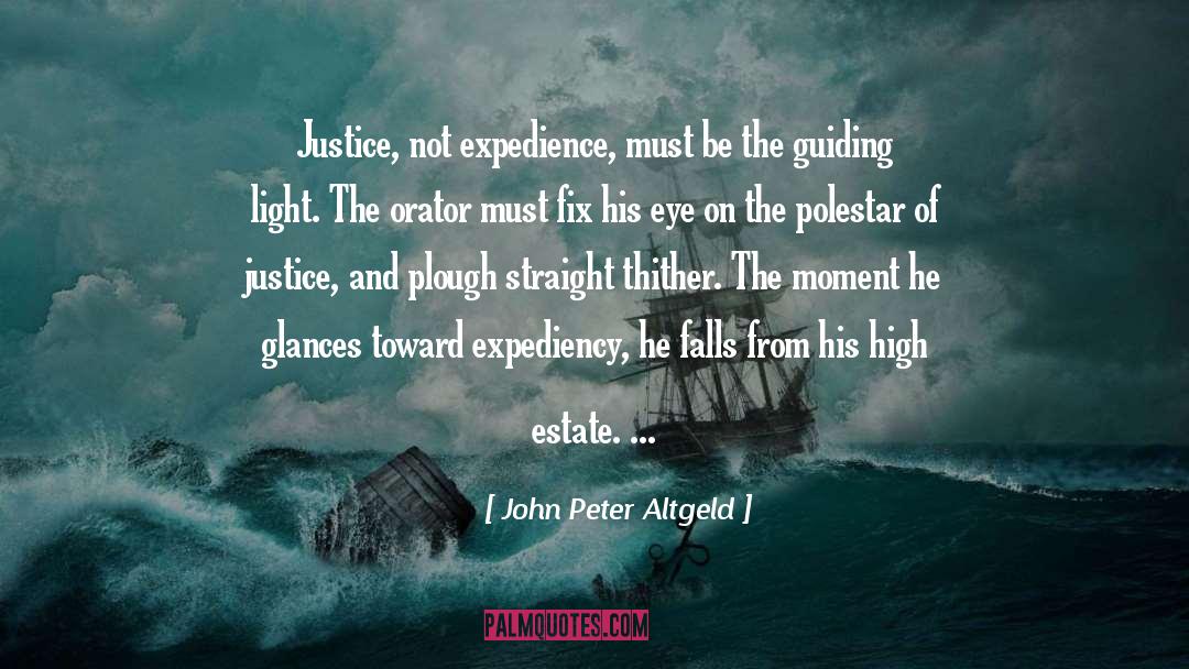 Expediency quotes by John Peter Altgeld