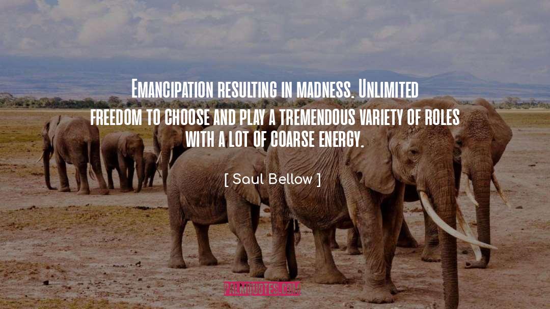 Expeditions Unlimited quotes by Saul Bellow