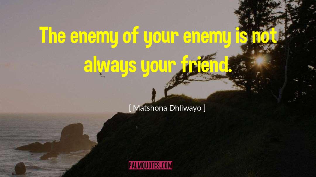 Expendable Friend quotes by Matshona Dhliwayo