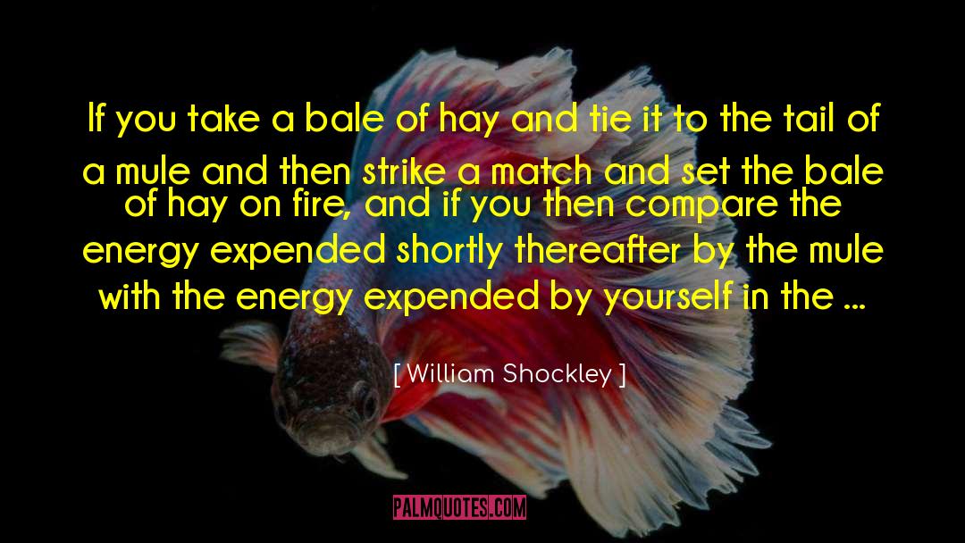 Expended quotes by William Shockley