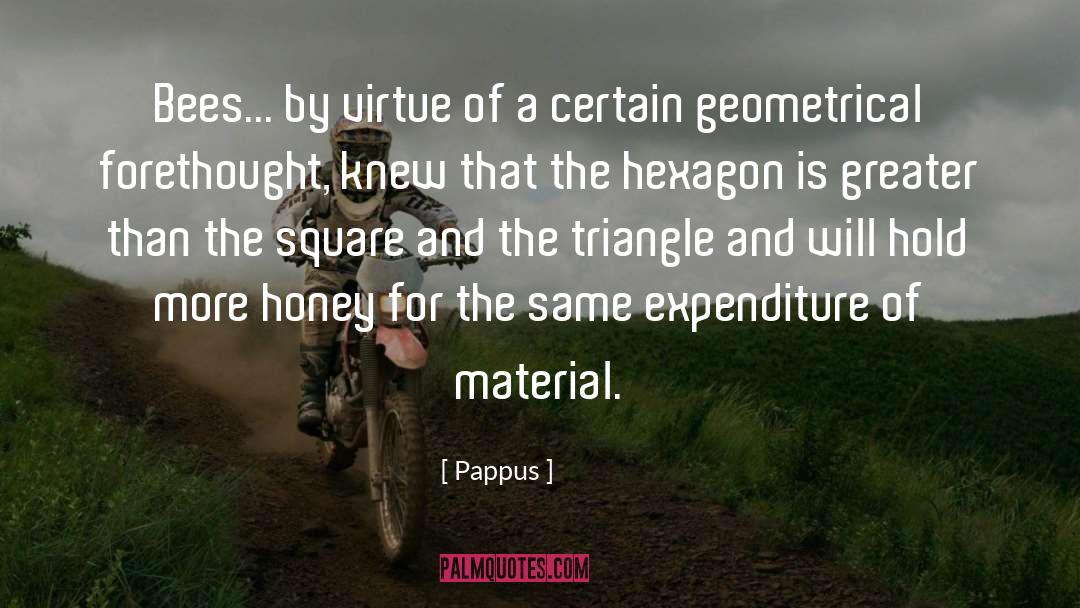Expenditure quotes by Pappus
