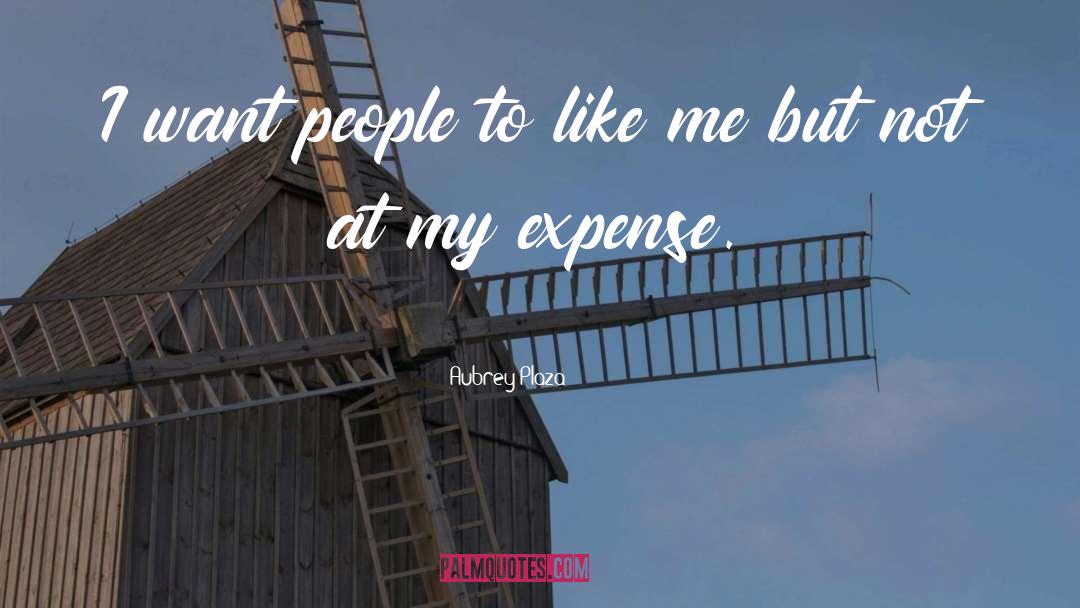 Expenses quotes by Aubrey Plaza