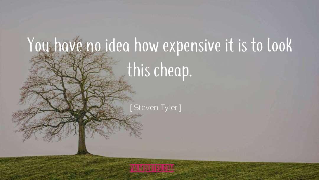 Expensive Cars quotes by Steven Tyler