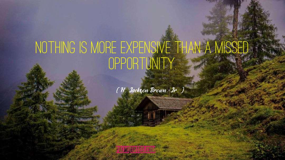 Expensive Opportunity quotes by H. Jackson Brown, Jr.