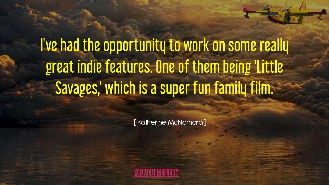 Expensive Opportunity quotes by Katherine McNamara