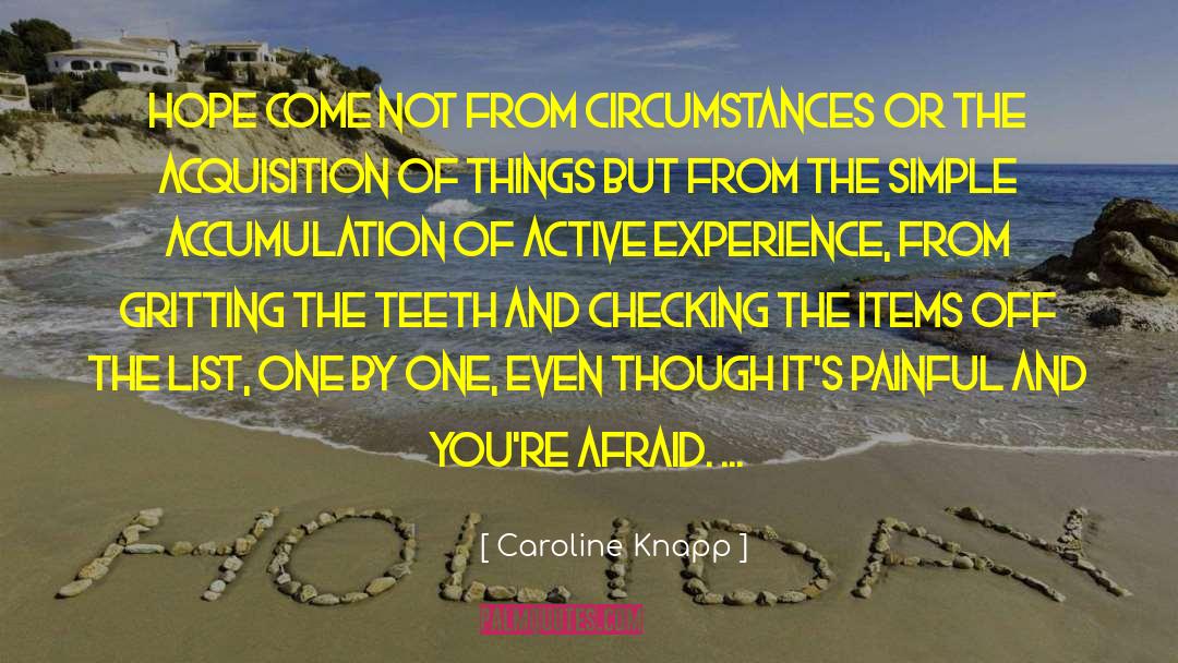 Experience Inspiration quotes by Caroline Knapp