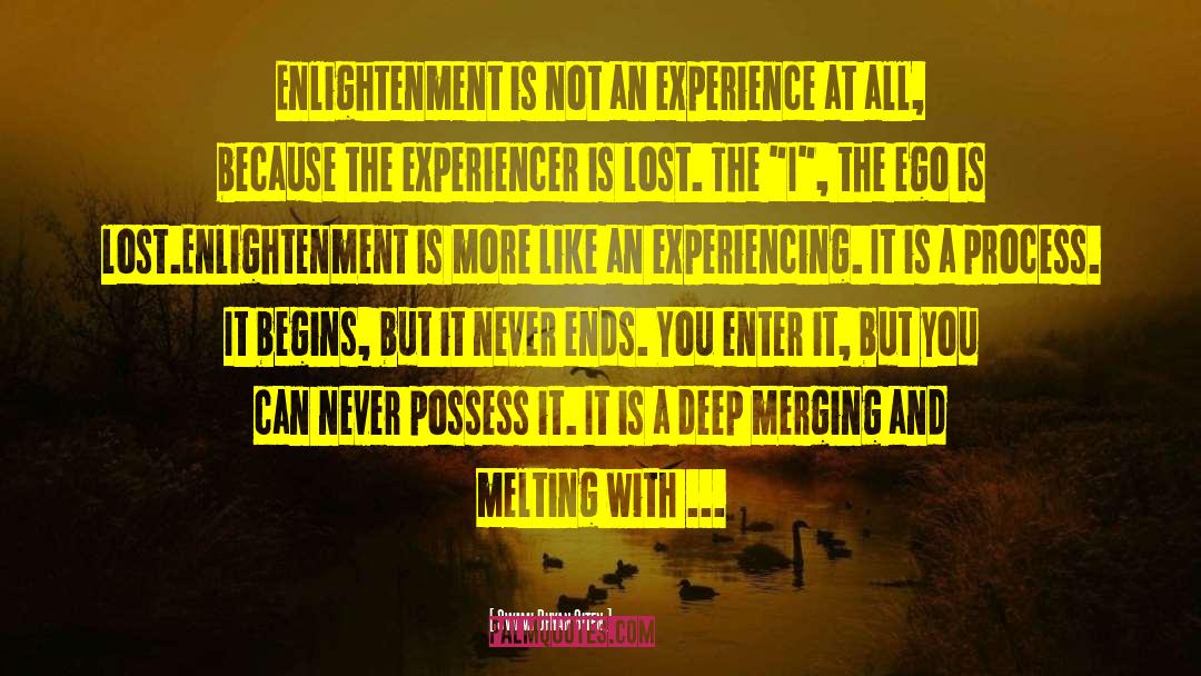 Experience Is Education quotes by Swami Dhyan Giten