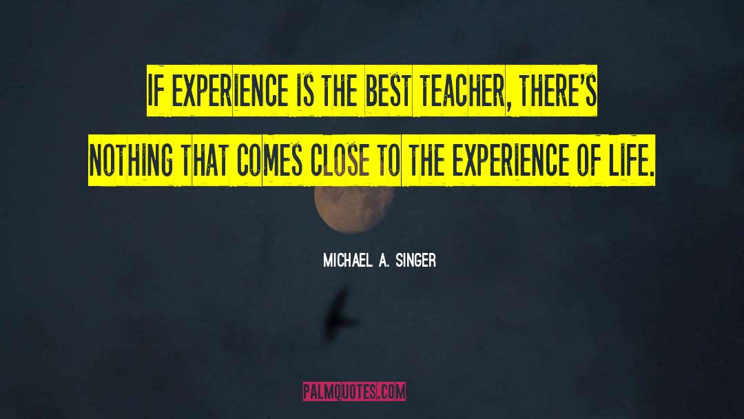 Experience Is The Best Teacher quotes by Michael A. Singer