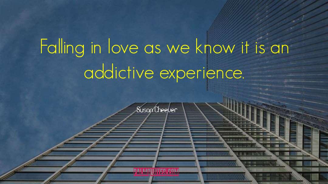 Experience Love quotes by Susan Cheever