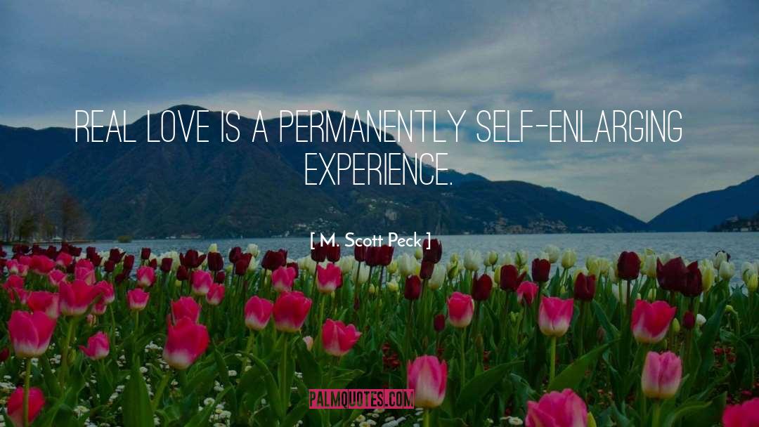 Experience Love quotes by M. Scott Peck