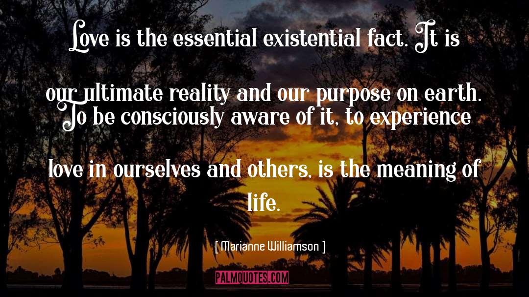 Experience Love quotes by Marianne Williamson