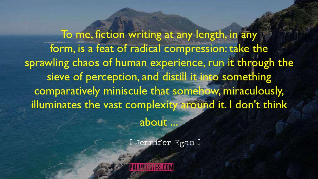 Experience Mistakes Wisdom quotes by Jennifer Egan
