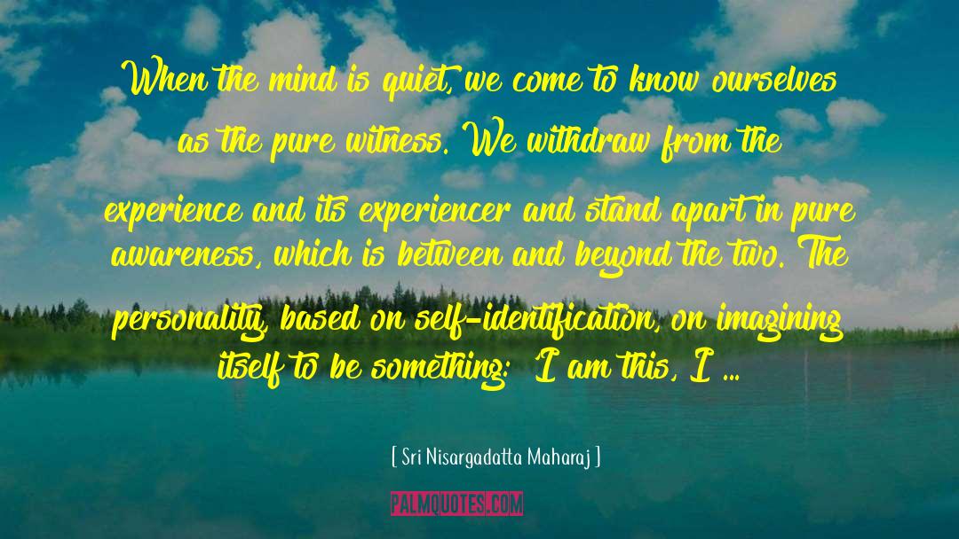 Experience Of Truth quotes by Sri Nisargadatta Maharaj
