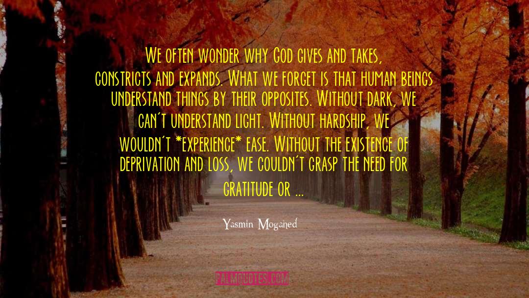 Experience Plus quotes by Yasmin Mogahed