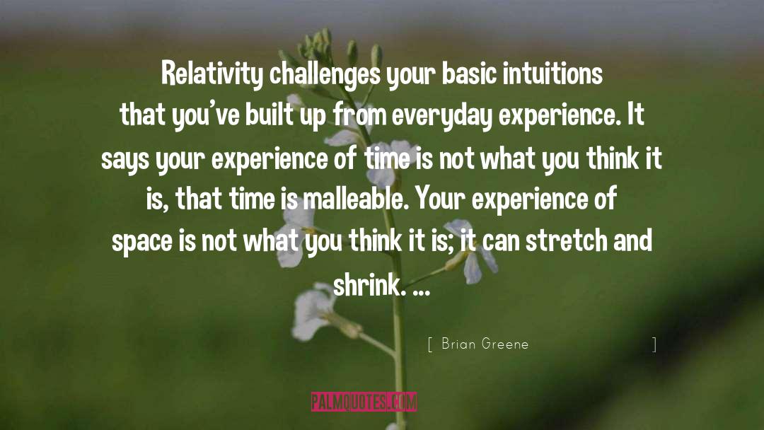 Experience quotes by Brian Greene