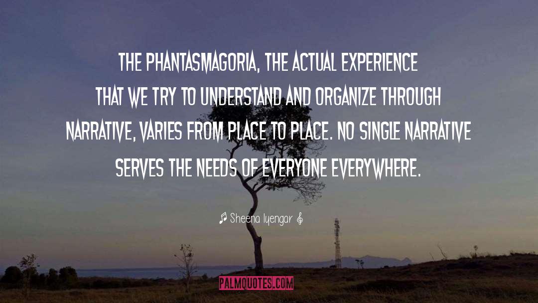 Experience That quotes by Sheena Iyengar