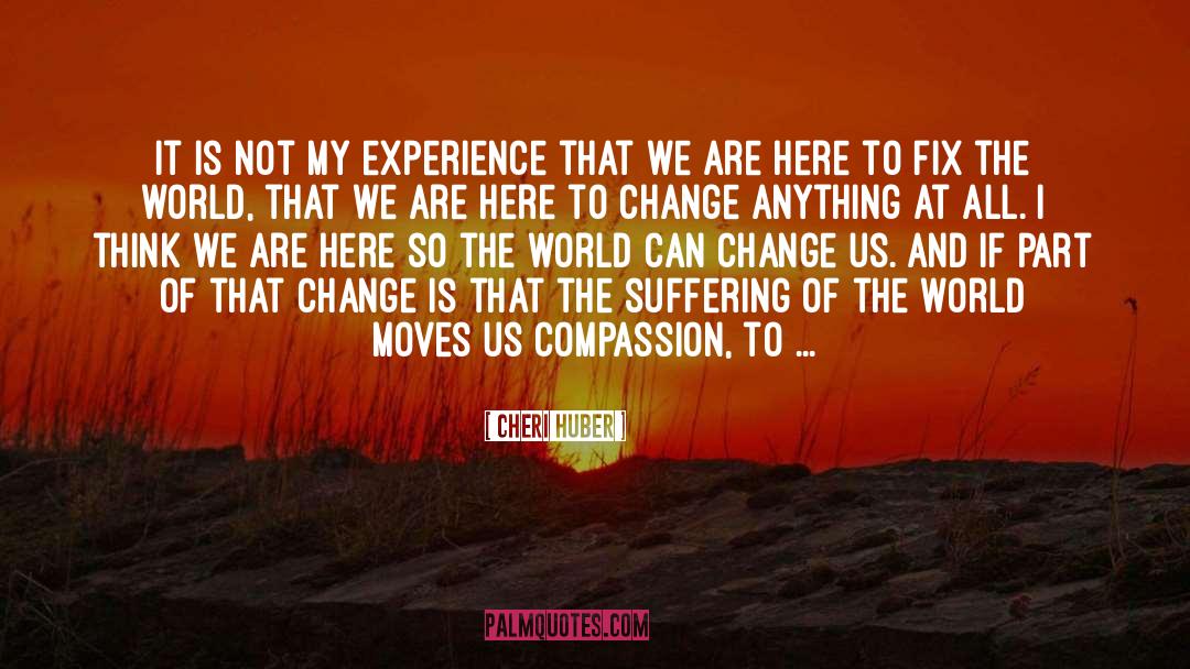 Experience That quotes by Cheri Huber