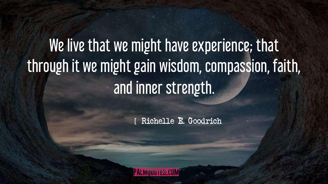 Experience That quotes by Richelle E. Goodrich