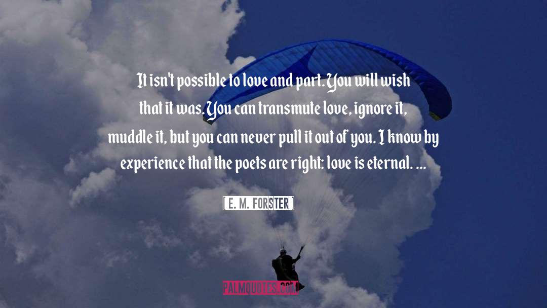Experience That quotes by E. M. Forster