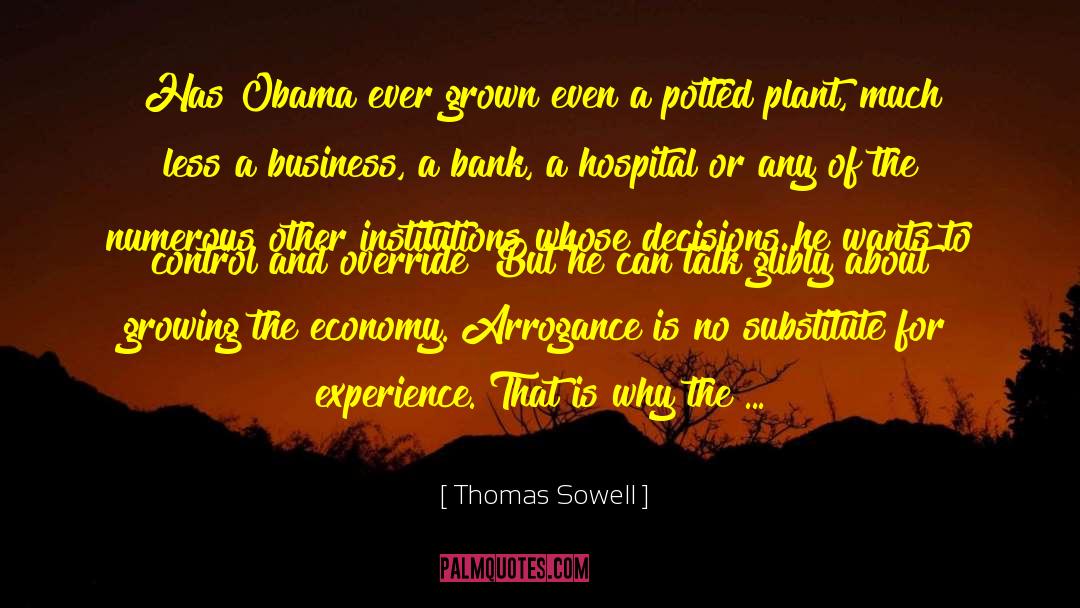 Experience To Let quotes by Thomas Sowell