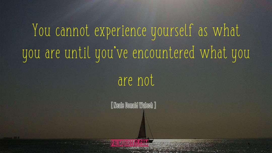 Experience Yourself quotes by Neale Donald Walsch