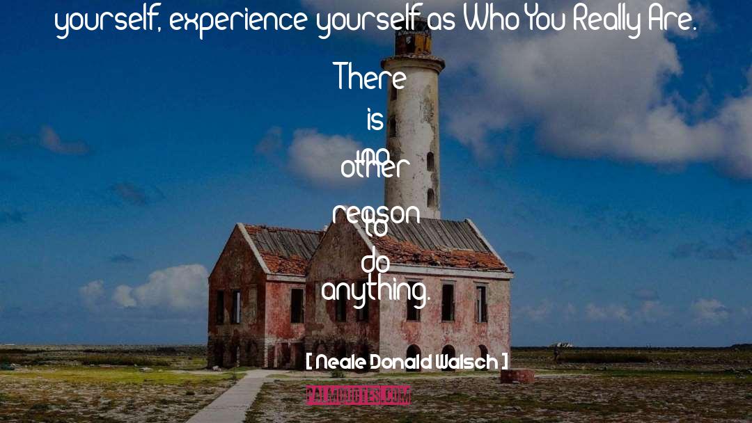 Experience Yourself quotes by Neale Donald Walsch