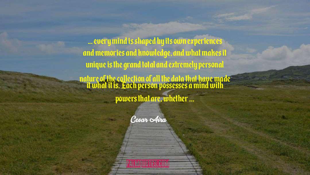 Experiences And Memories quotes by Cesar Aira