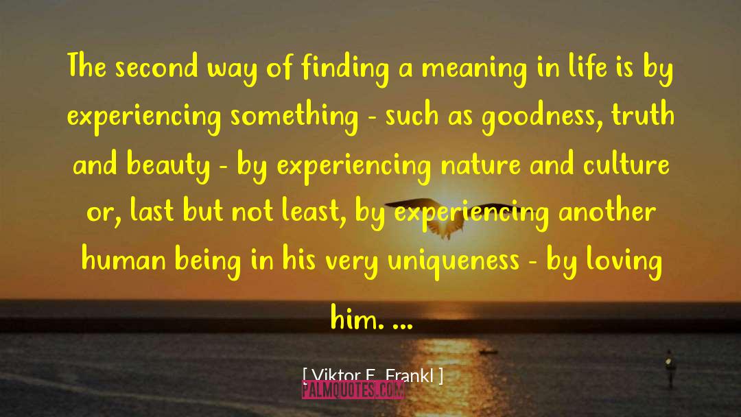 Experiencing Something quotes by Viktor E. Frankl