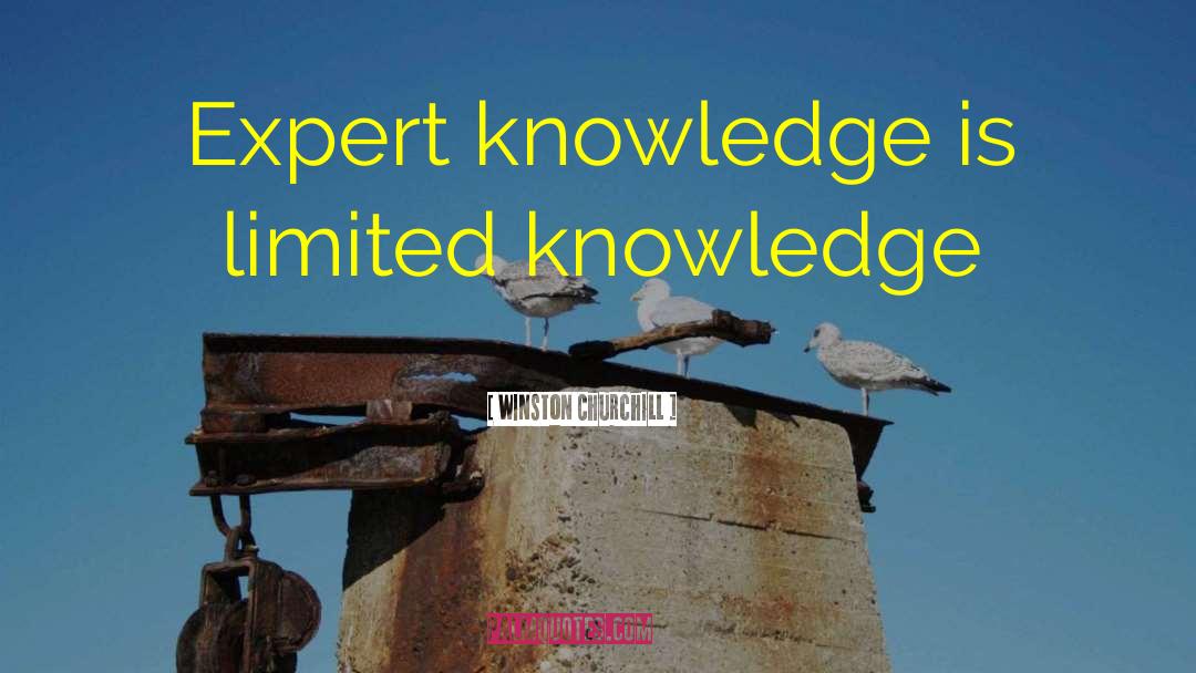 Experiential Knowledge quotes by Winston Churchill