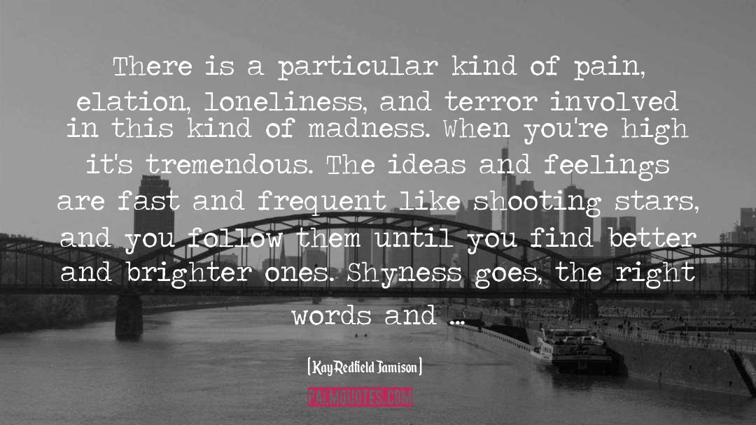 Experiment In Terror quotes by Kay Redfield Jamison