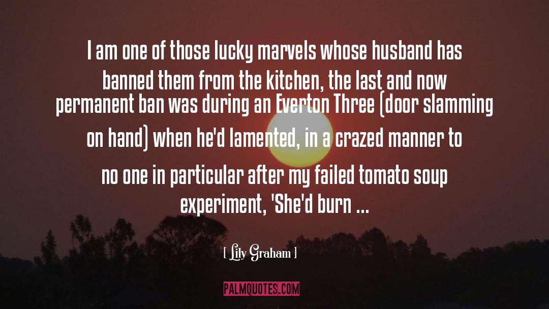 Experiment quotes by Lily Graham