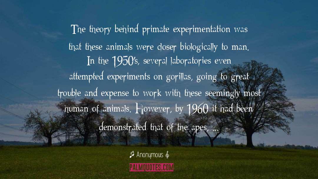 Experimentation quotes by Anonymous
