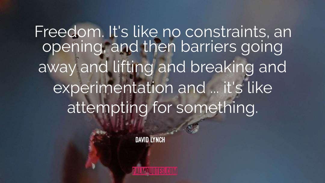 Experimentation quotes by David Lynch