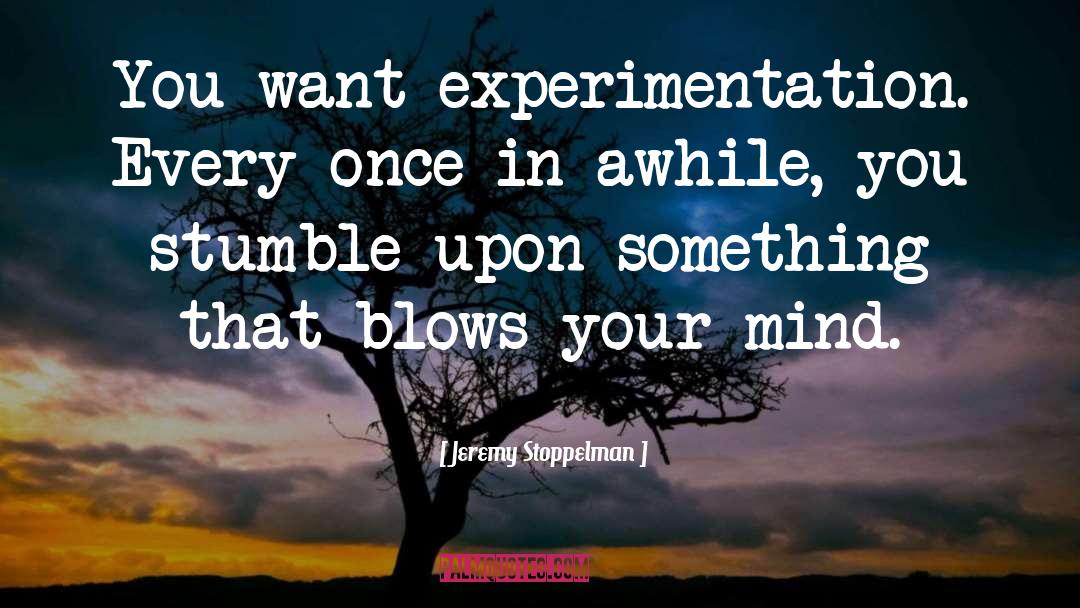 Experimentation quotes by Jeremy Stoppelman