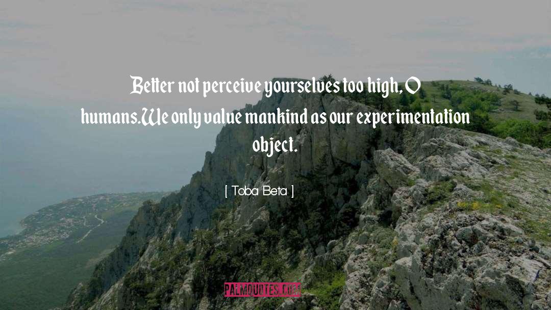Experimentation quotes by Toba Beta