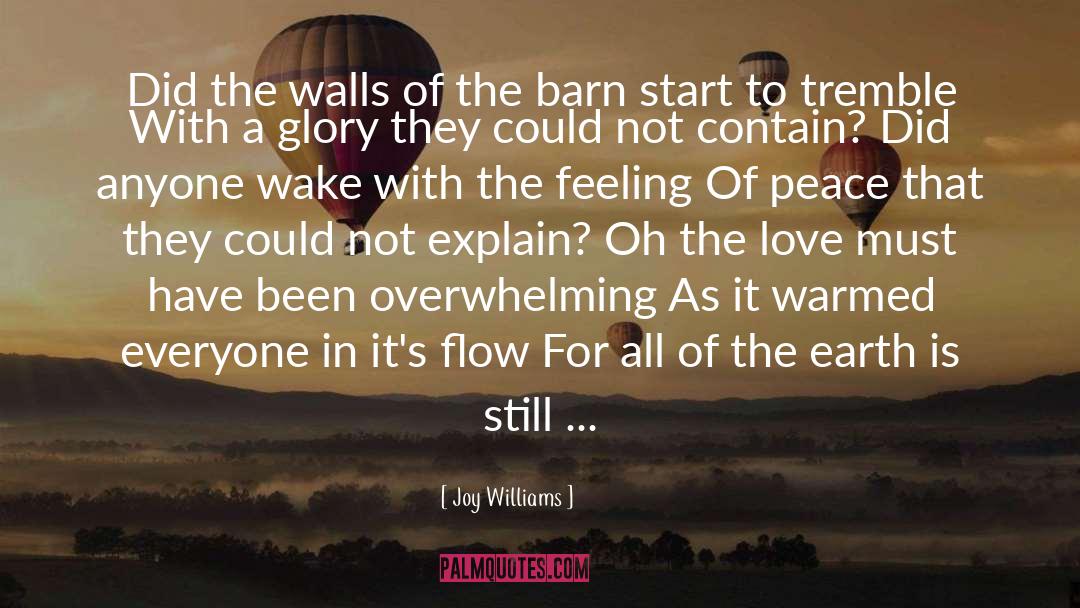 Explain Williams quotes by Joy Williams