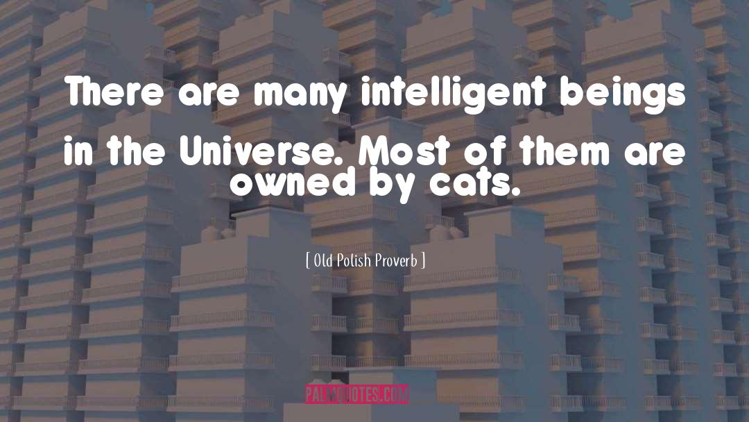 Explanation Of Universe quotes by Old Polish Proverb