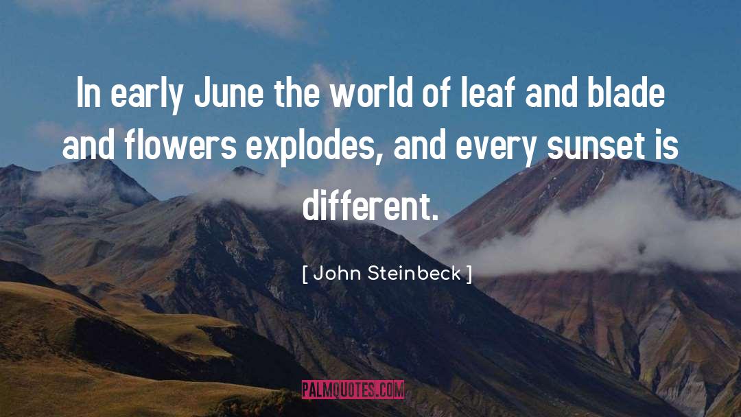 Explodes quotes by John Steinbeck