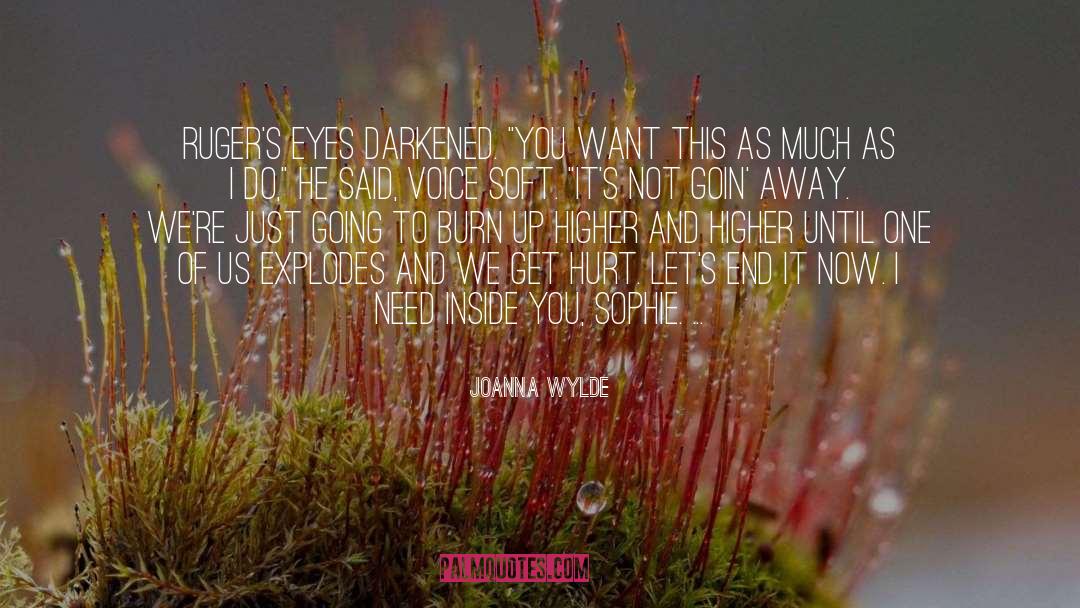 Explodes quotes by Joanna Wylde