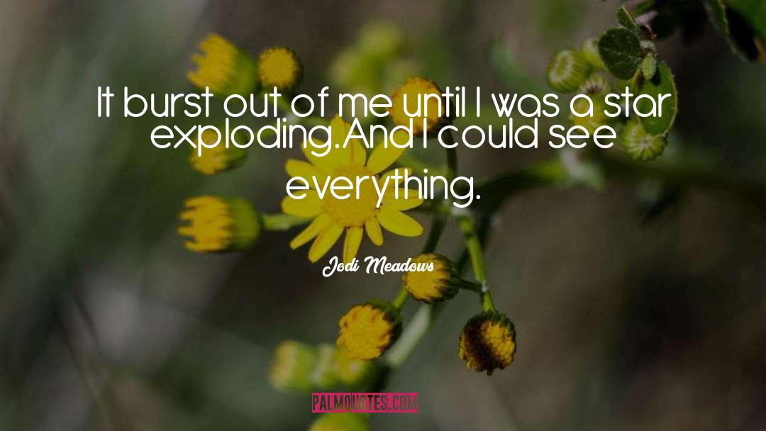 Exploding quotes by Jodi Meadows