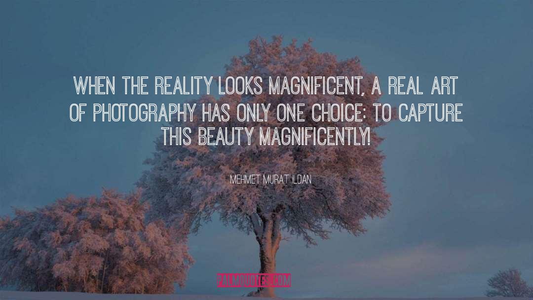 Explore Photography quotes by Mehmet Murat Ildan