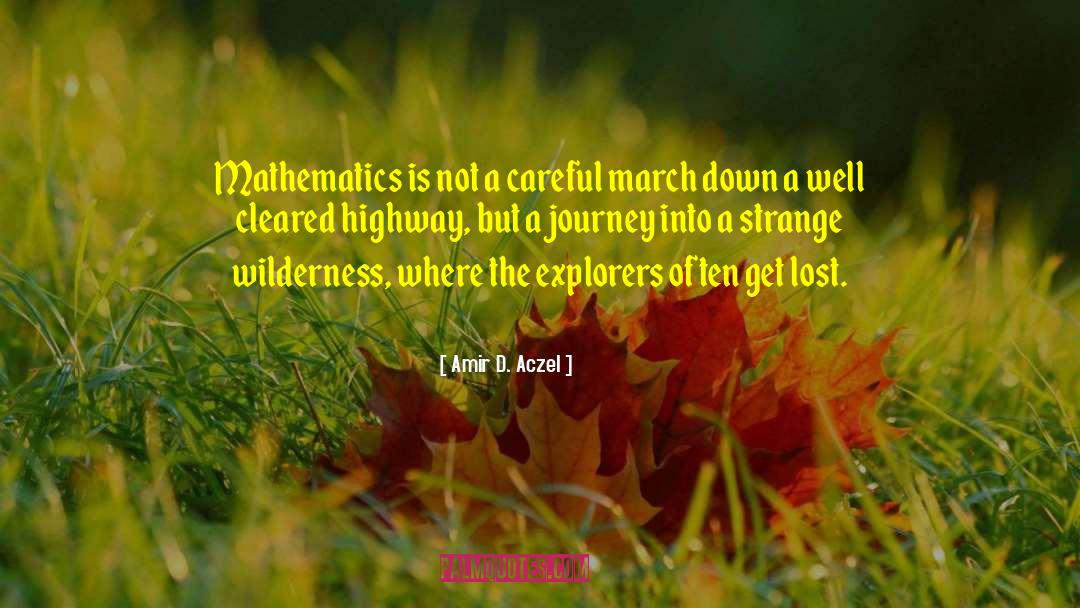 Explorers quotes by Amir D. Aczel