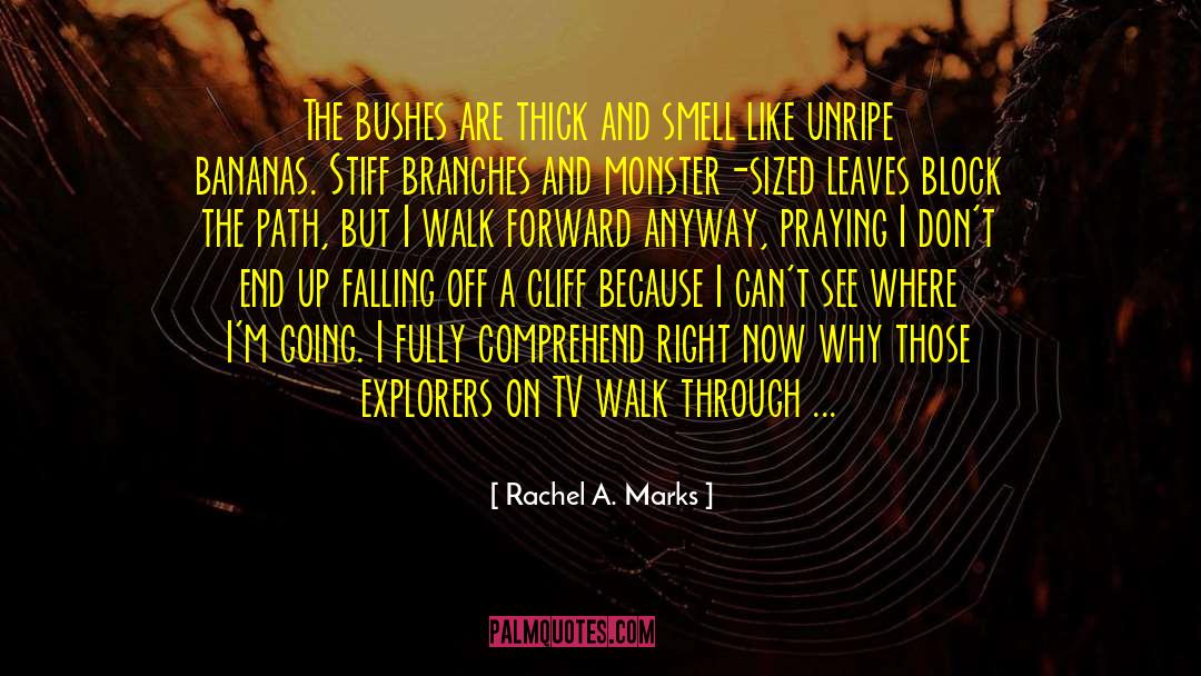 Explorers quotes by Rachel A. Marks