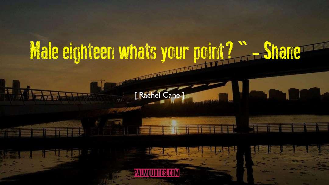 Explosive Eighteen quotes by Rachel Cane