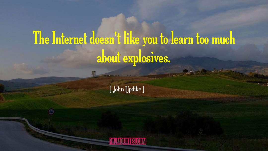 Explosives quotes by John Updike